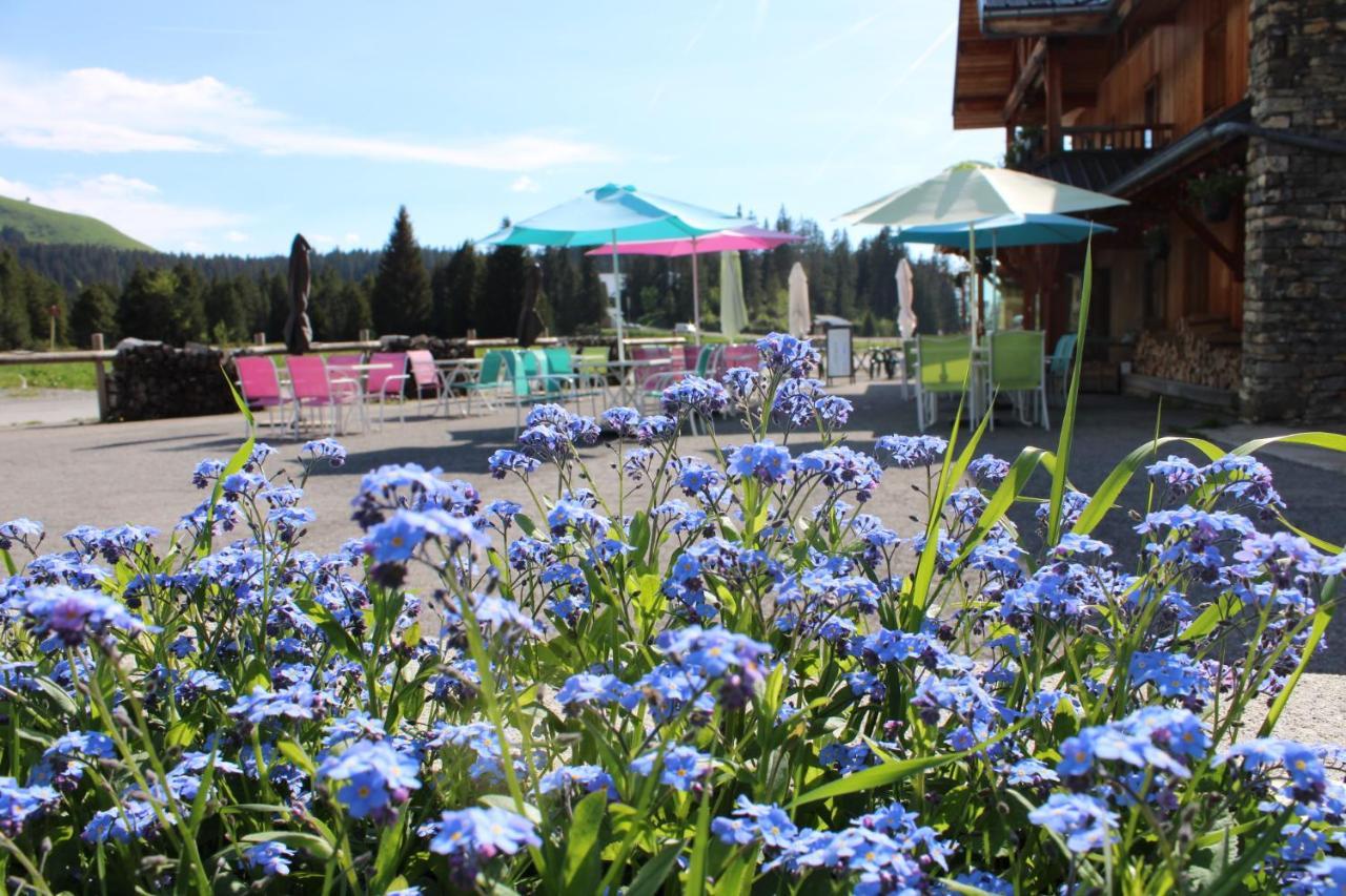 Chalet Hotel Vaccapark Le Praz de Lys Eksteriør bilde