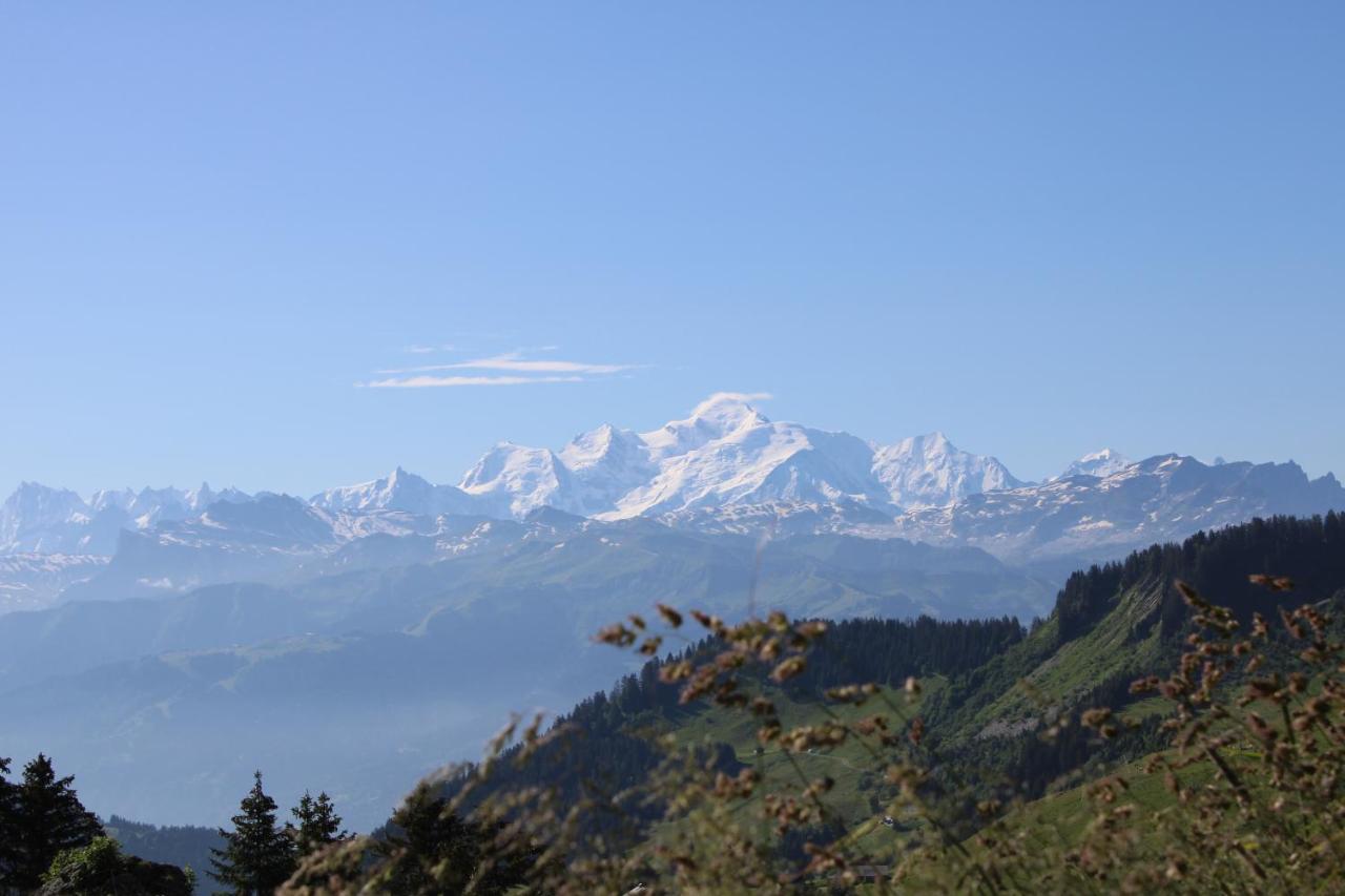 Chalet Hotel Vaccapark Le Praz de Lys Eksteriør bilde