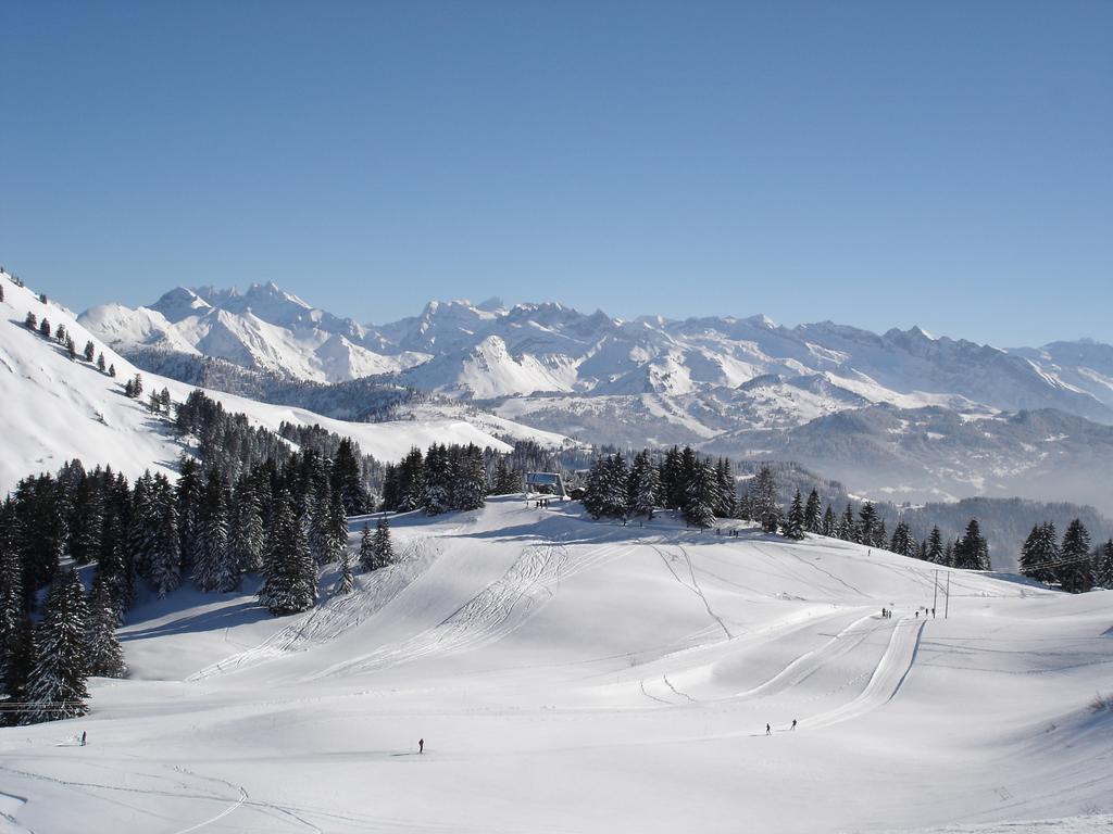 Chalet Hotel Vaccapark Le Praz de Lys Eksteriør bilde